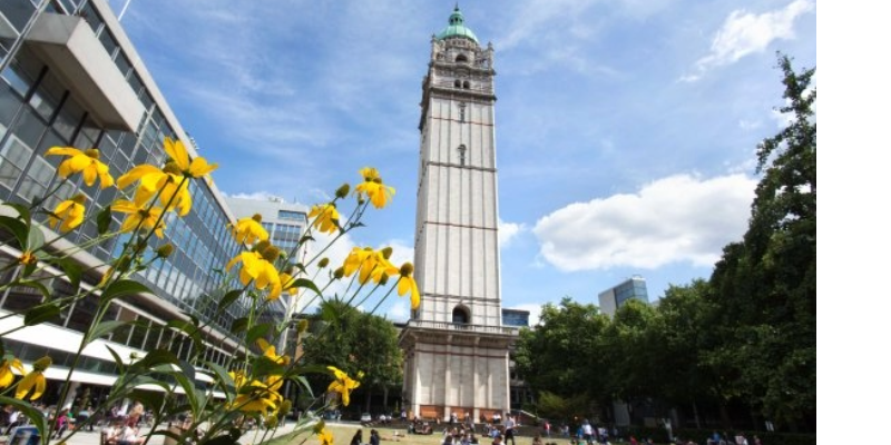 Statistical Advisory Service