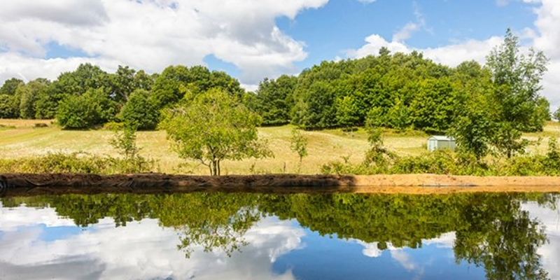 Faculty of Natural Sciences