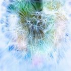 Navigate to the list of Products belonging to this Store Category